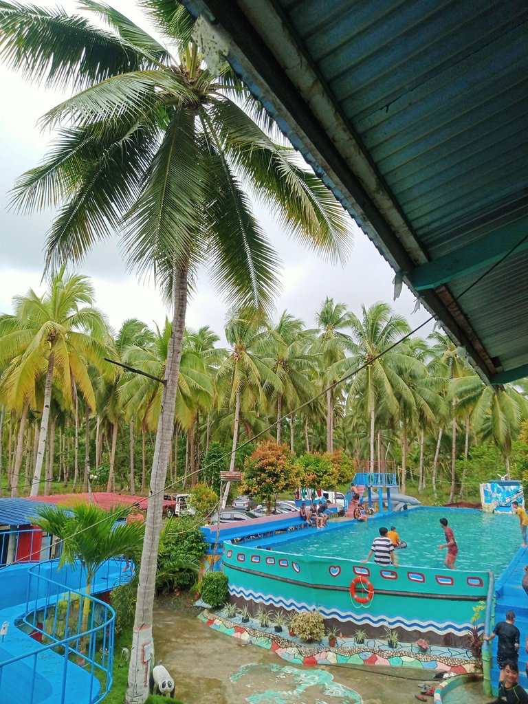 IMG20240128144339.jpg