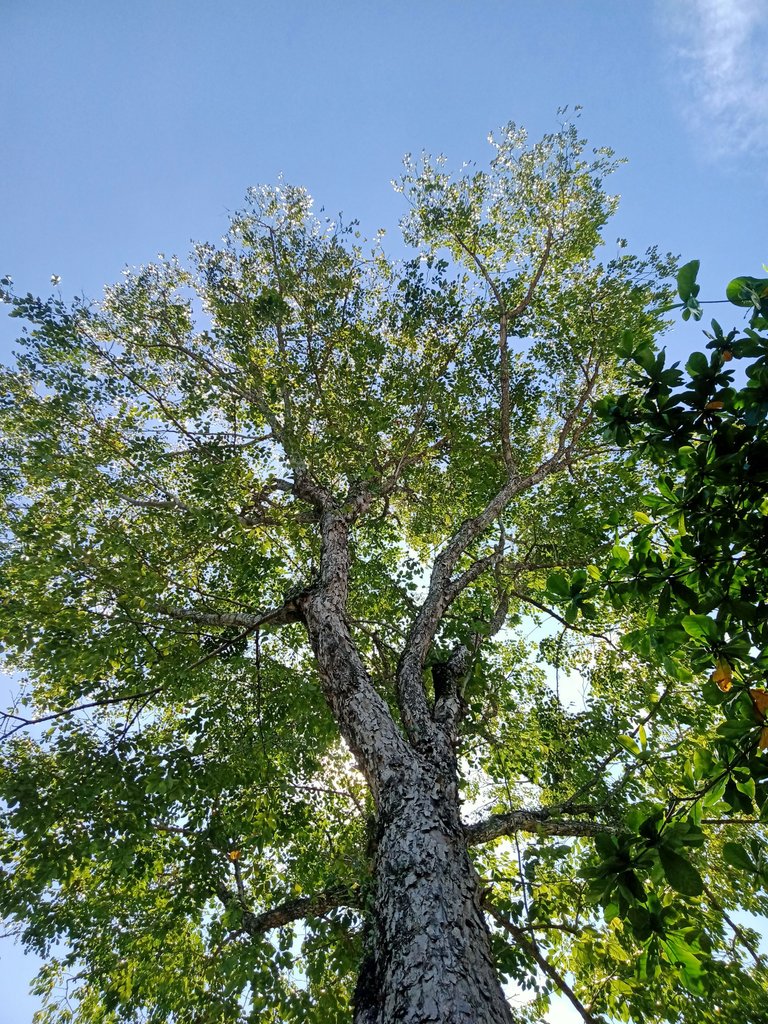 IMG20231019103512.jpg