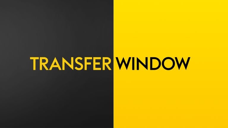 skysports-transfer-window-graphic_4564326.jpg