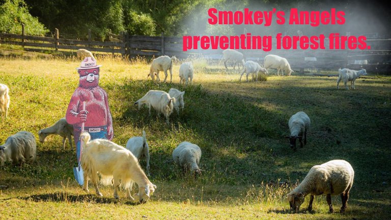 Fire_Prevention_With_Goats.JPG