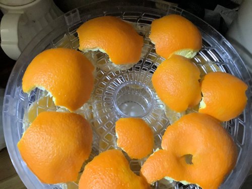 OrangeSkins.jpg