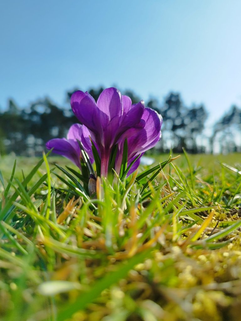 Зображення WhatsApp, дата_ 2025-03-30 о 15.27.22_5e04df1b.jpg