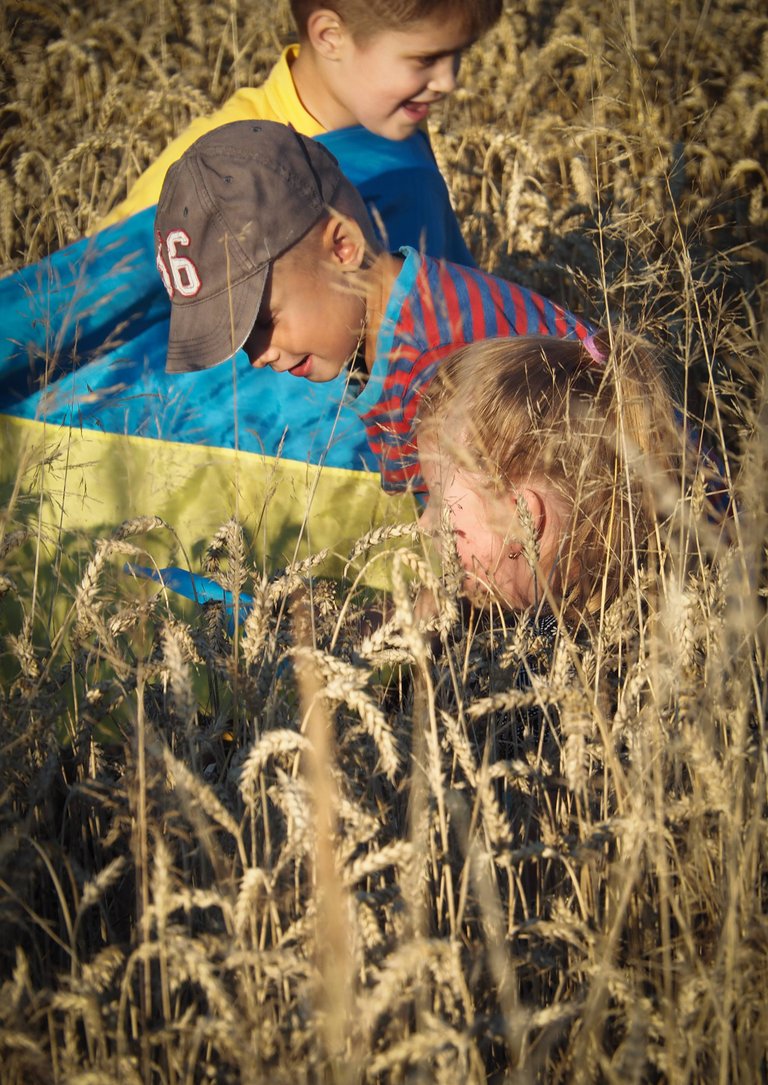діти в пшениці3.jpg