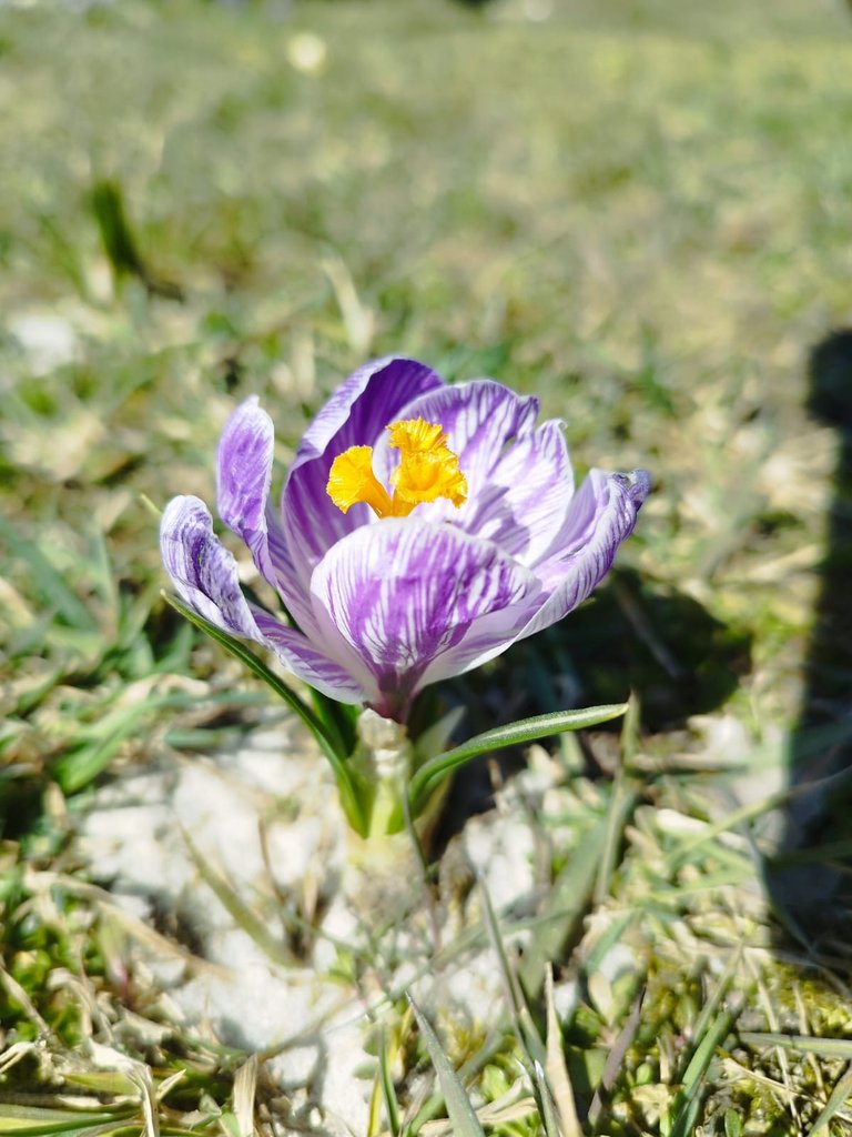Зображення WhatsApp, дата_ 2025-03-30 о 15.28.43_19c94937.jpg