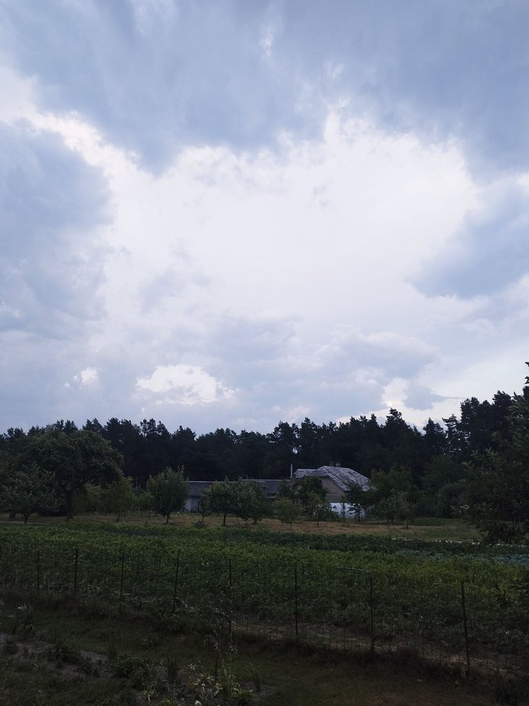 IMG_20250707_211151.jpg
