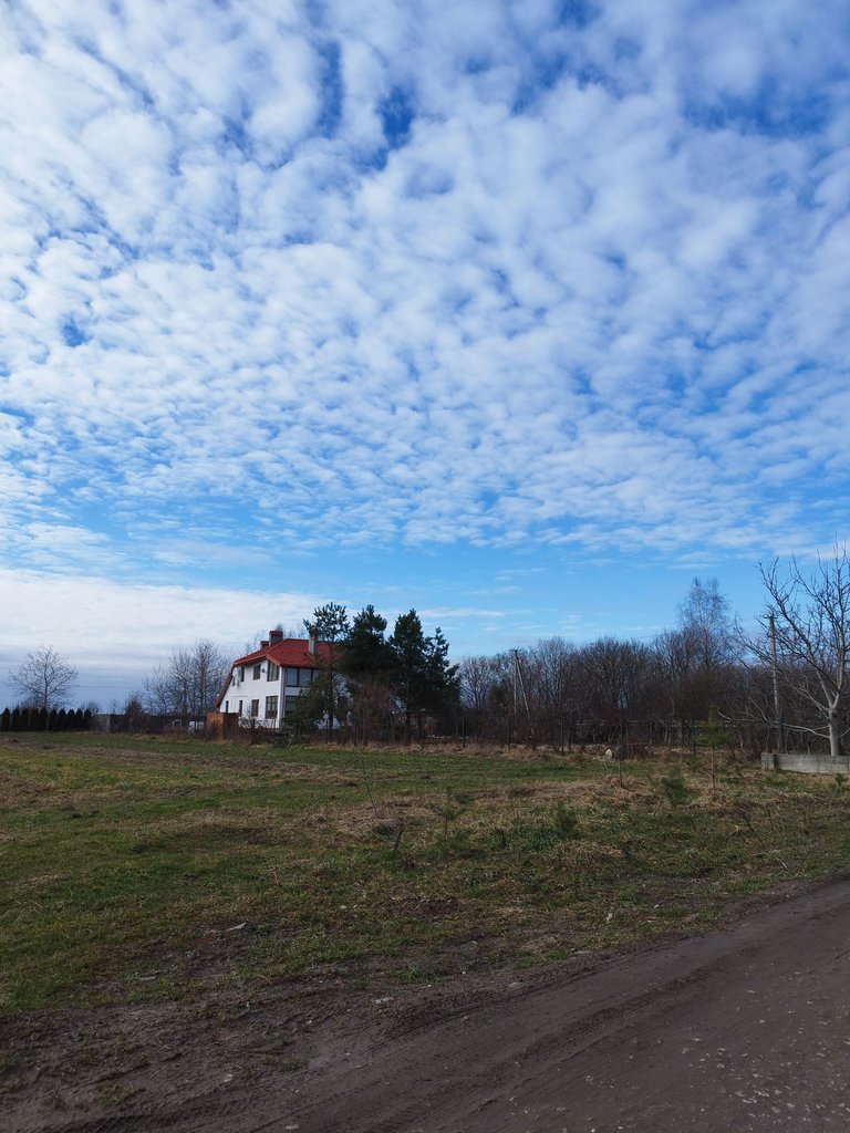 IMG_20240215_144714.jpg