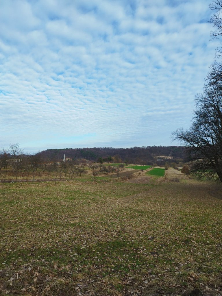 IMG_20240215_145551.jpg