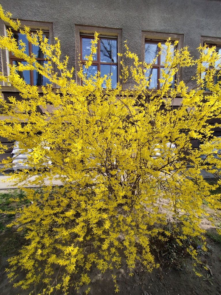 IMG_20250328_114004.jpg