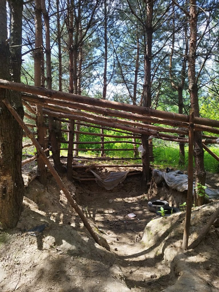 Зображення WhatsApp, дата_ 2025-06-18 о 12.56.18_5736ffdb.jpg