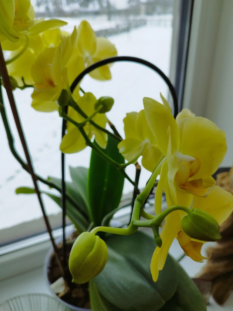IMG_20240209_100724.jpg