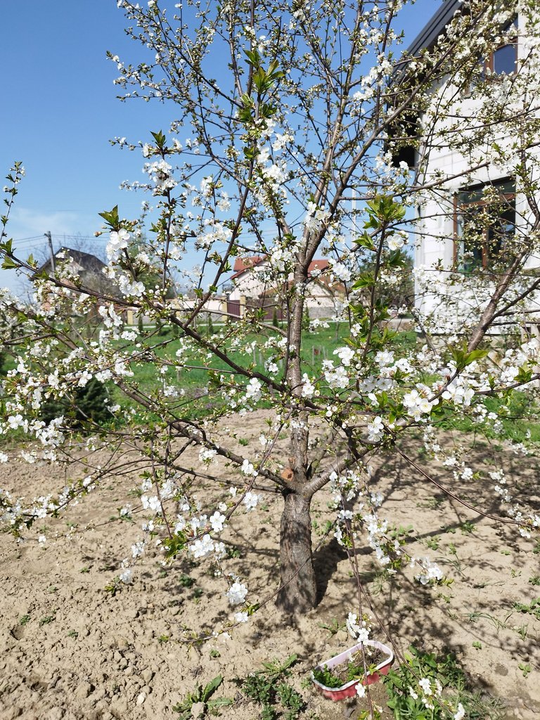 IMG_20250418_114014.jpg