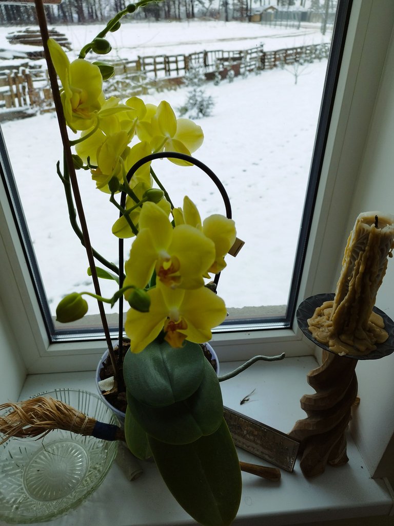 IMG_20240209_100711.jpg