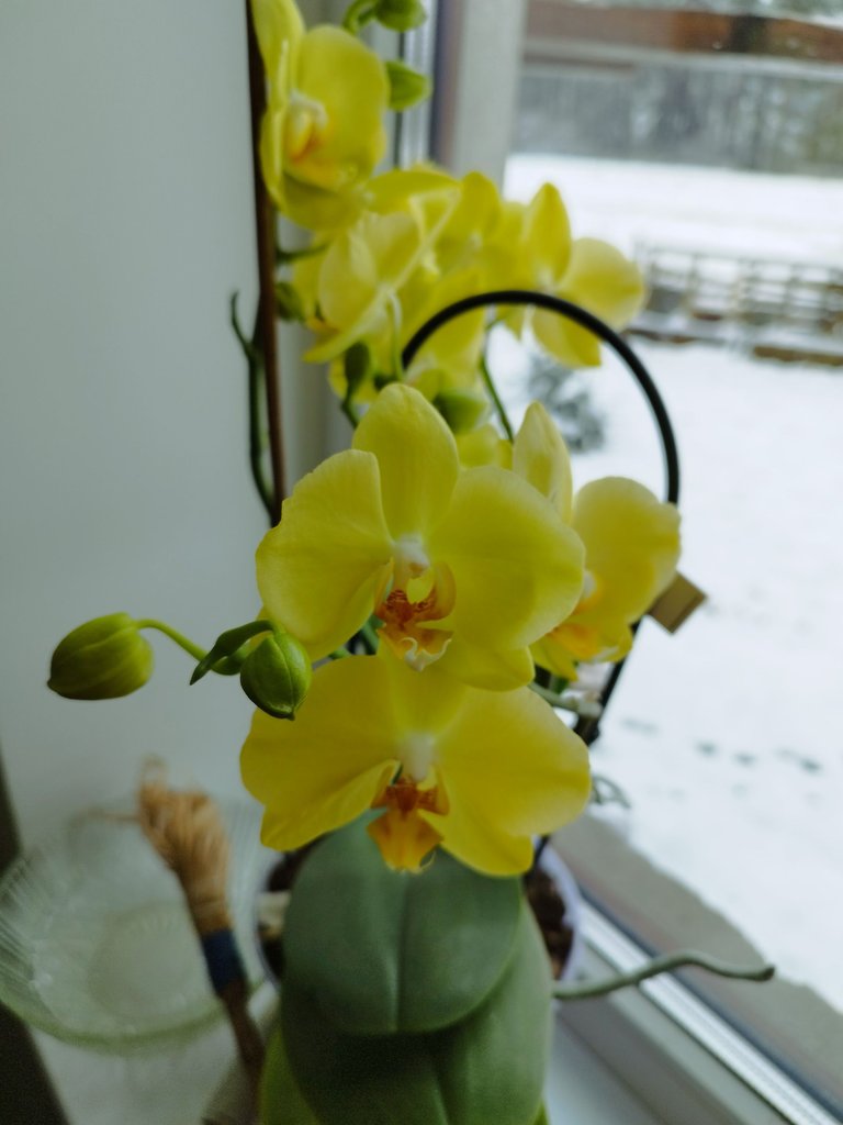 IMG_20240209_100642.jpg