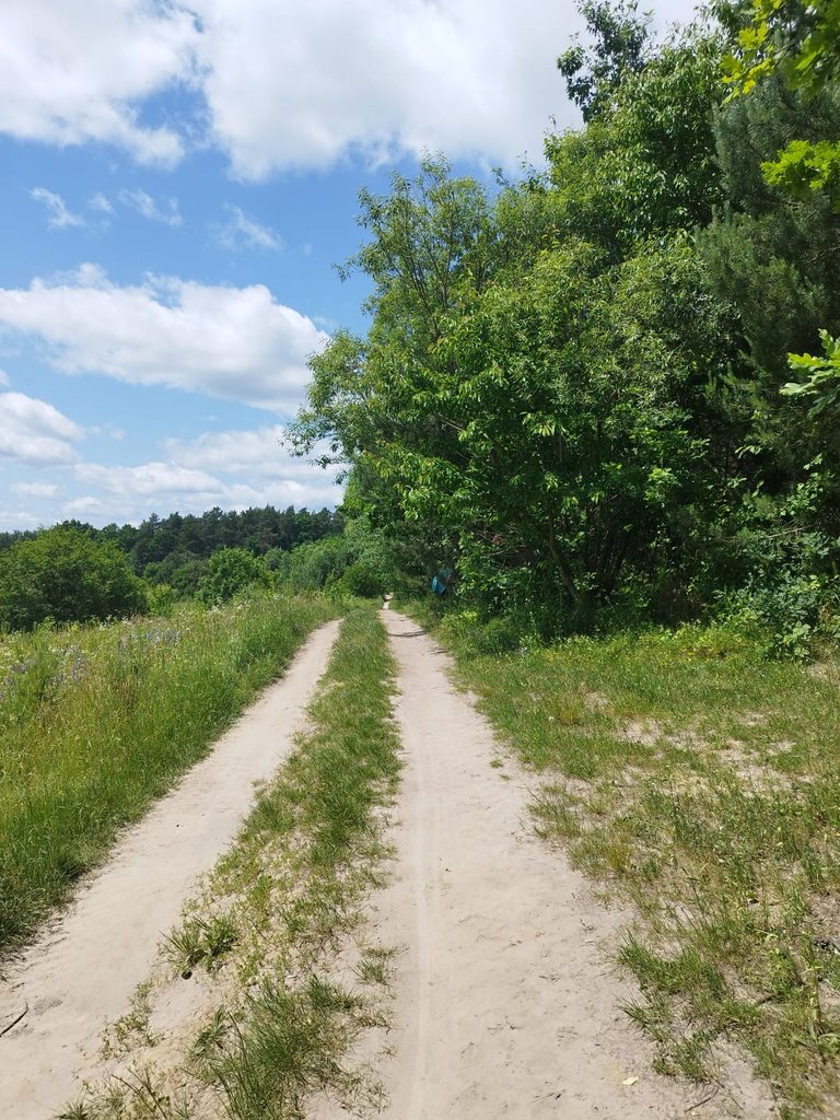 Зображення WhatsApp, дата_ 2025-06-18 о 12.56.19_dea671ee.jpg
