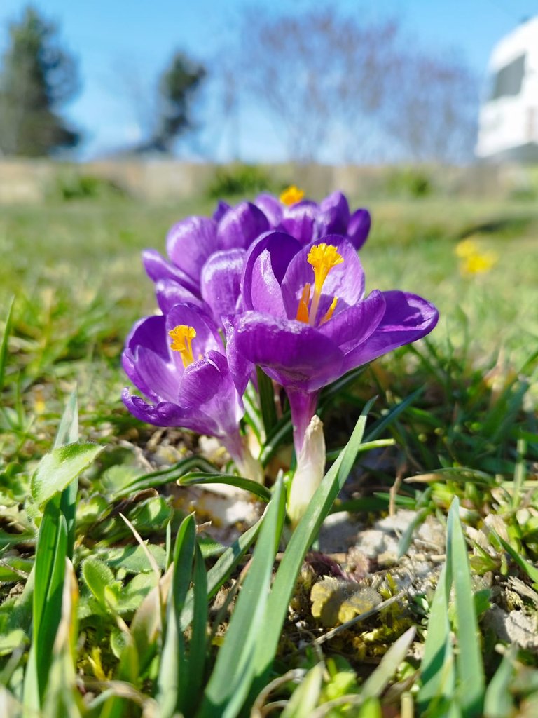 Зображення WhatsApp, дата_ 2025-03-30 о 15.27.22_b390f918.jpg