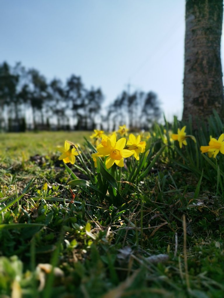 Зображення WhatsApp, дата_ 2025-03-30 о 15.27.22_ae3c65cf.jpg