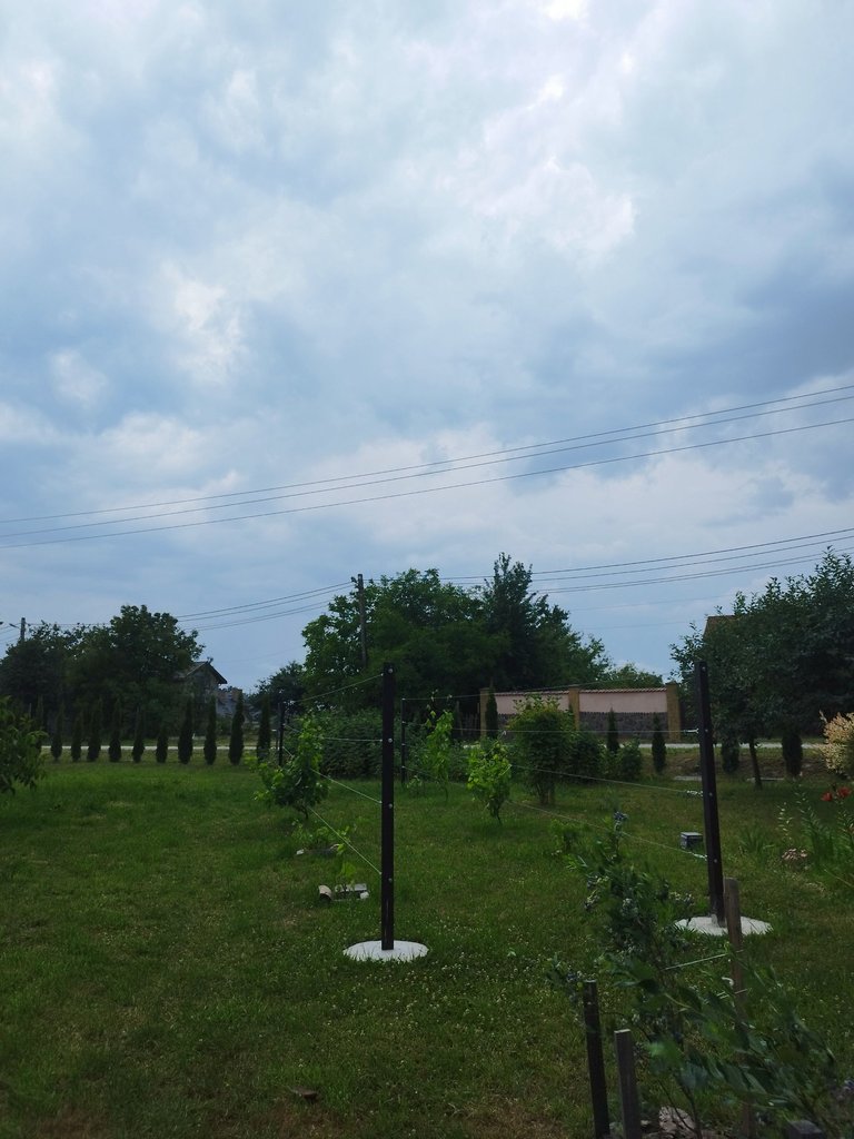 IMG_20250707_204936.jpg