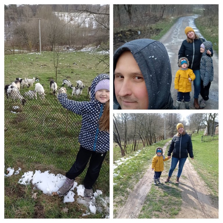 IMG_20230328_144801-COLLAGE.jpg
