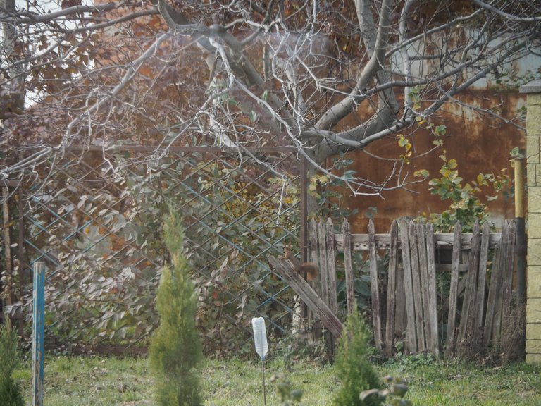 PA284603.JPG