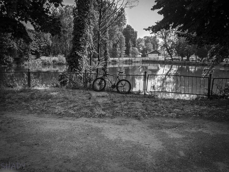 велоимед біля озера 3.JPG