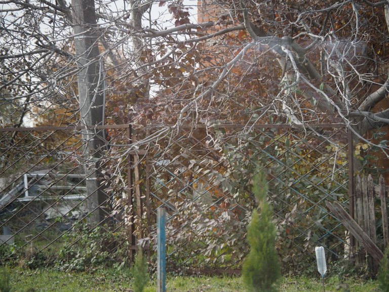 PA284604.JPG