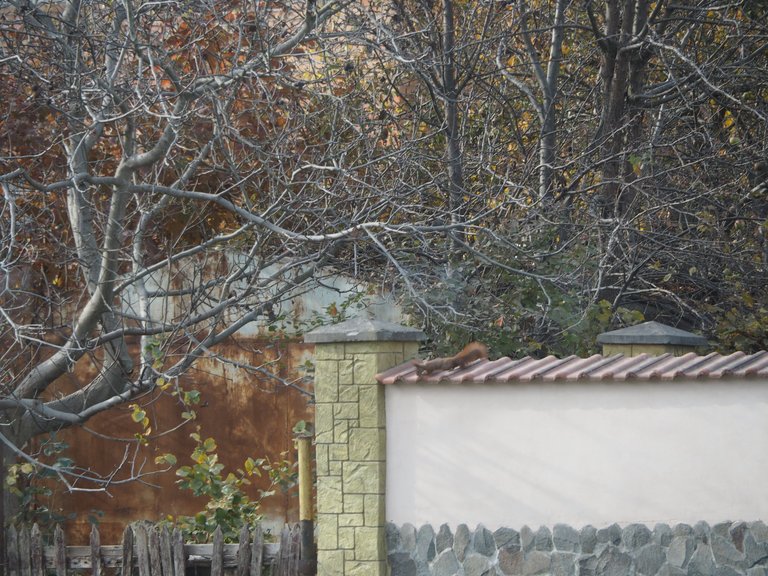 PA284599.JPG