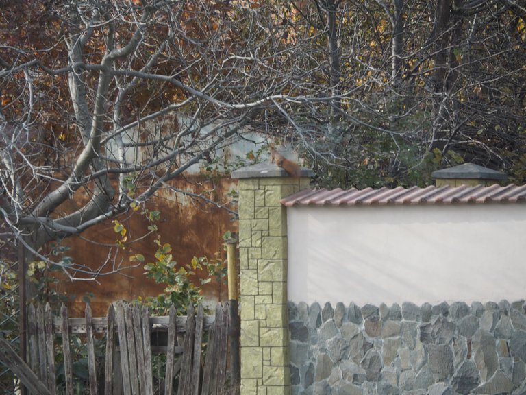 PA284600.JPG