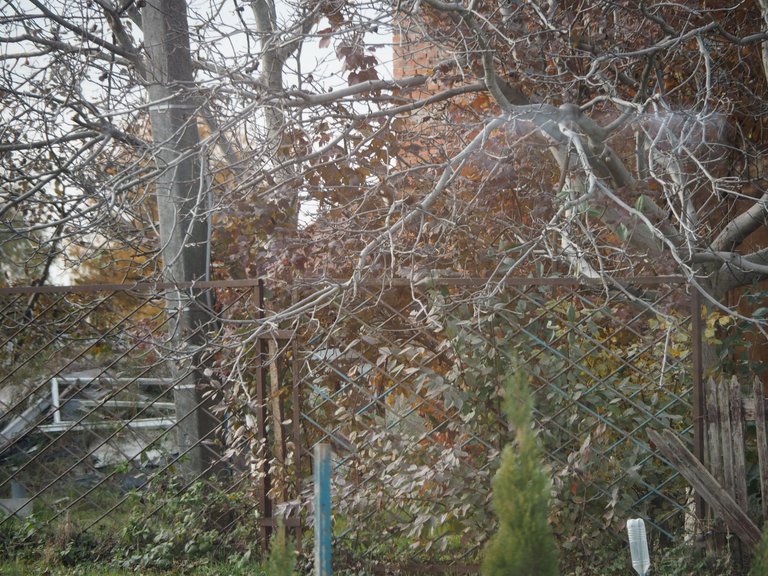 PA284605.JPG