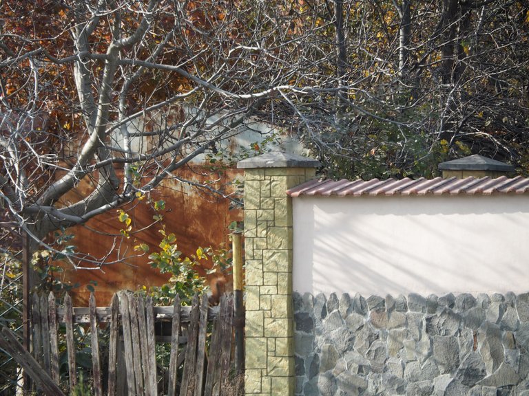 PA284601.JPG
