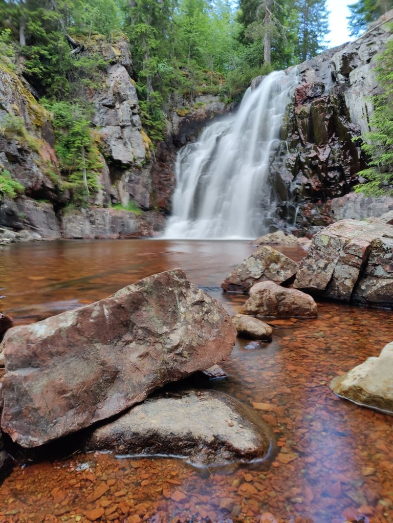 Photo taken by Shahzad Ansari through Oneplus 9 Pro