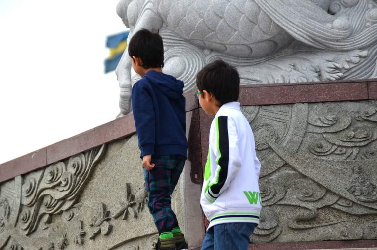  @hamza-art & @saif-ul-wahab 