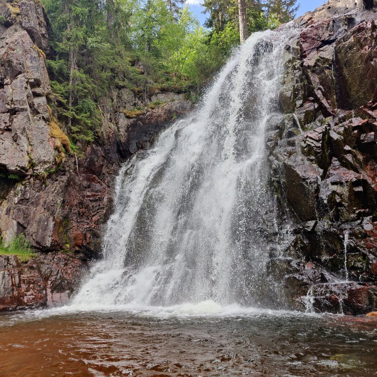 Photo taken by Shahzad Ansari through Oneplus 9 Pro