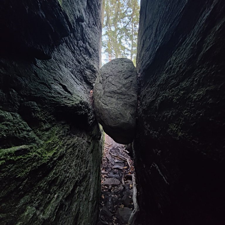 Borrås Skåra