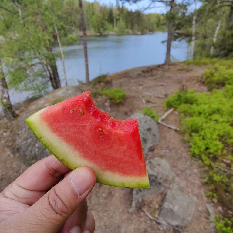 Photo taken by Shahzad Ansari through Oneplus 9 Pro