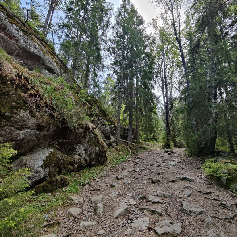 Photo taken by Shahzad Ansari through Oneplus 9 Pro