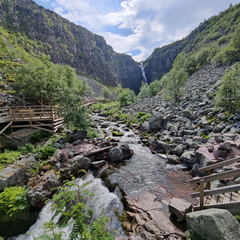 Photos taken by Shahzad Ansari through Oneplus 9 Pro