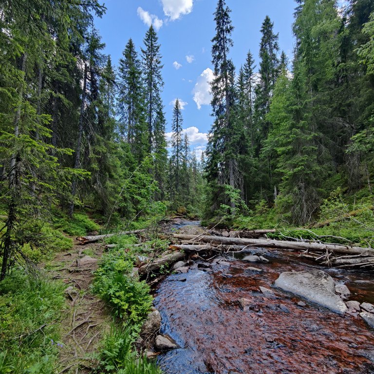 Photo taken by Shahzad Ansari through Oneplus 9 Pro