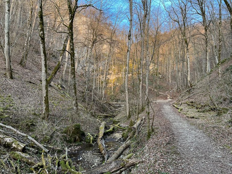 falkensteiner-cave-1.jpg