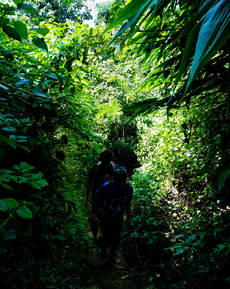 Narrow hillside road