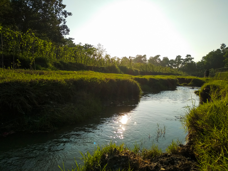 The stream runs from the fountains to the plain