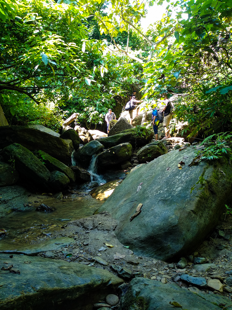 You have to climb big rocks like this to go forward