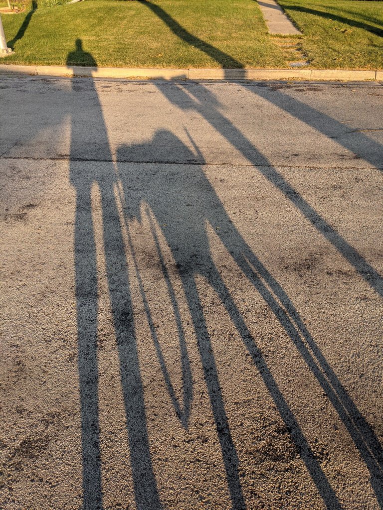 shadow of a person and a dog