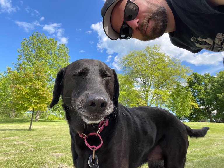 Selfie fun with Stella T. Dog
