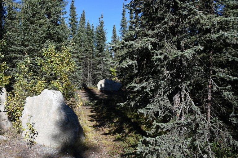 shasta2021july23rd47boulders2io.jpg