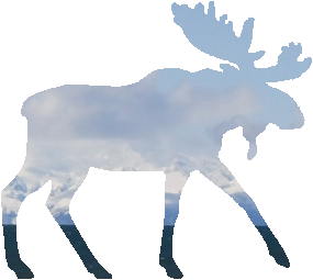 shasta2021aug31st47moose804io.png