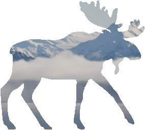 shasta2023feb17th47mymoose804io.png