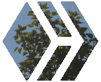 shasta2022sept2nd47hive804io.png