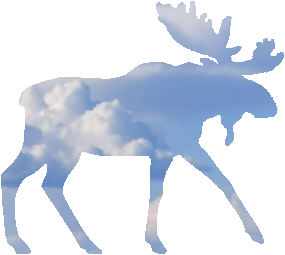 shasta2021march15th47moose2io.png