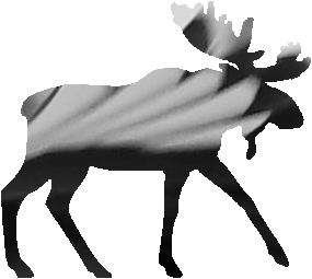 shasta2021april11th47moose104io.png