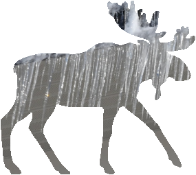 shasta2021may20th47moose804io.png